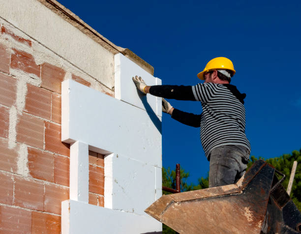 Best Insulation Replacement Services  in Affton, MO