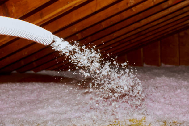 Best Fiberglass Insulation  in Affton, MO