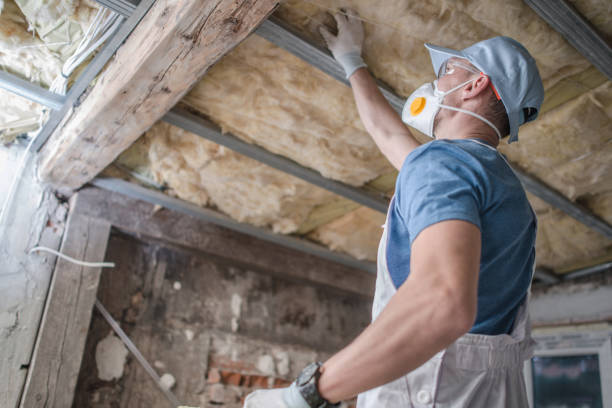 Best Spray Foam Insulation  in Affton, MO