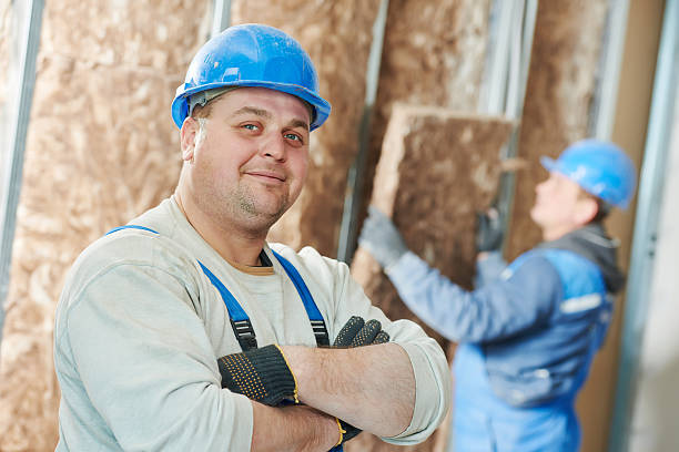 Best Home Insulation Services  in Affton, MO