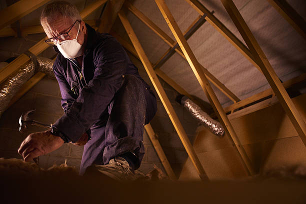 Best Garage Insulation Installation  in Affton, MO